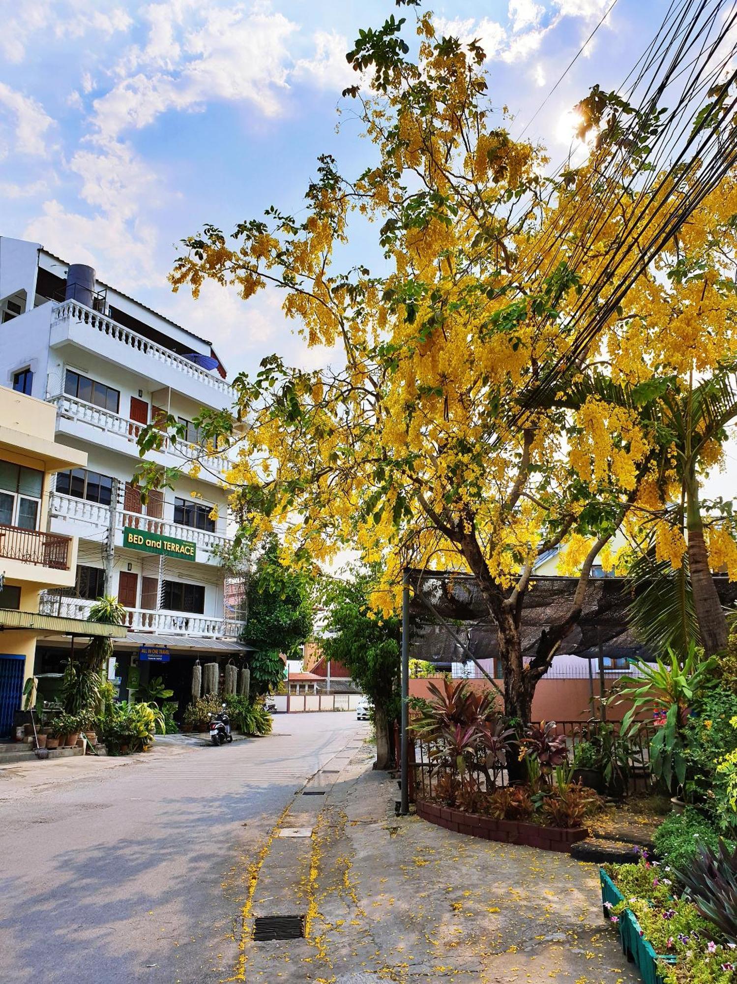 Bed&terrace Hotel